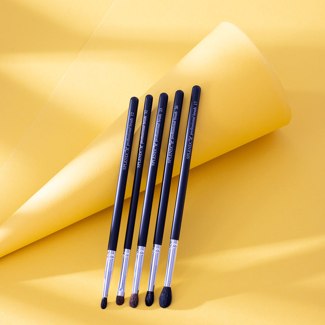 Set 5 pensule profesionale Splendor pentru ochi par capra neagra si ponei + borseta
