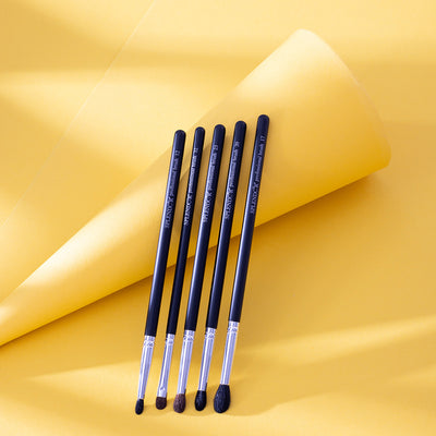 Set 5 pensule profesionale Splendor pentru ochi par capra neagra si ponei + borseta