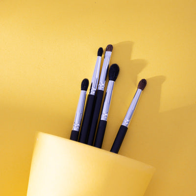 Set 5 pensule profesionale Splendor pentru ochi par capra neagra si ponei + borseta