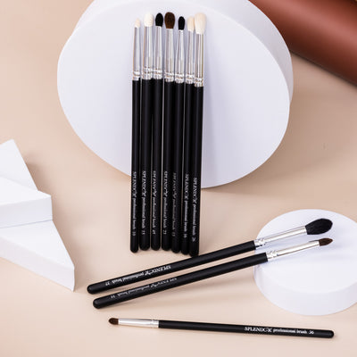 Set 10 pensule profesionale blending Splendor pentru machiaj ochi par veverita, capra, ponei, sintetic  + borseta