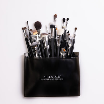Set 40 pensule profesionale Splendor par sintetic / capra / ponei / veverita + borseta