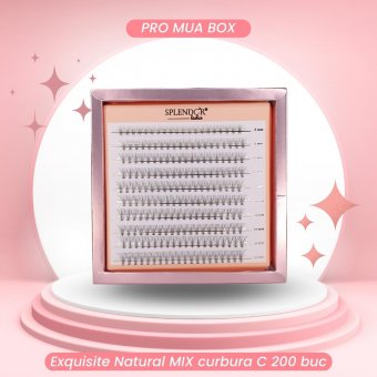 PRO MUA BOX Exquisite Natural 200 buc MIX curbura C 