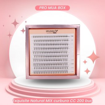 PRO MUA BOX Exquisite Natural 200 buc MIX curbura CC